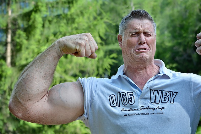 svalovec.jpg