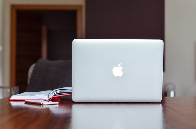 Apple logo.jpg